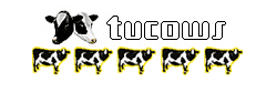Bigasoft iPod Transfer shareware received 5 stars from Tucows.com